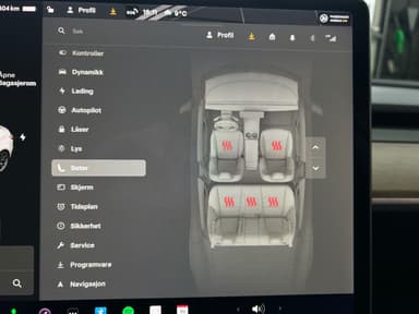 Tesla 2019 bilde 19