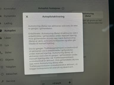 Tesla 2019 bilde 34