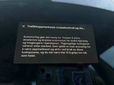 Tesla 2019 bilde 21