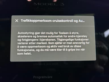 Tesla 2021 bilde 44