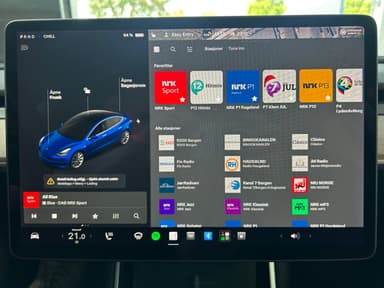 Tesla 2019 bilde 24
