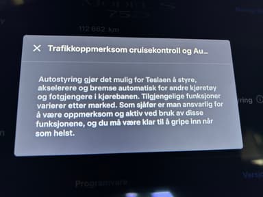 Tesla 2019 bilde 34