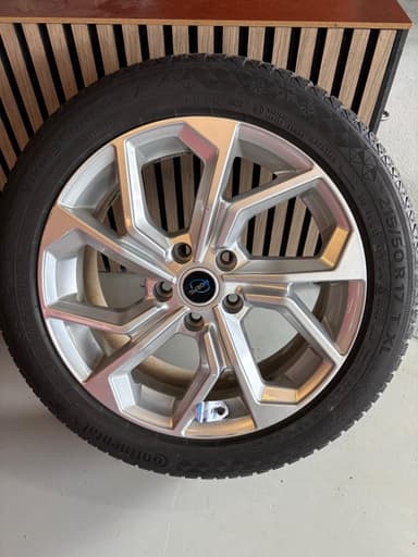 MG 2022 bilde 22