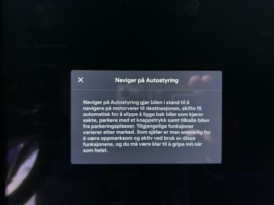 Tesla 2019 bilde 27