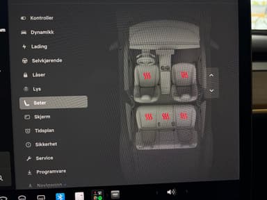 Tesla 2021 bilde 16