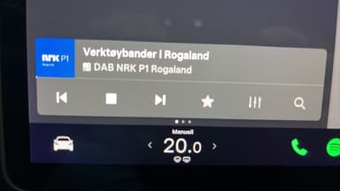 Tesla 2021 bilde 48