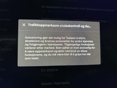 Tesla 2021 bilde 47